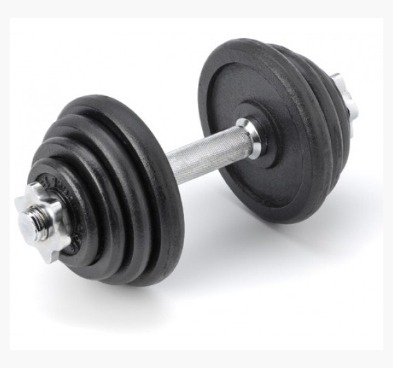 dumbbell_plate_hantelis_prove_8_kg-690ea9f0caba5144e532c81676b85cdd.jpg