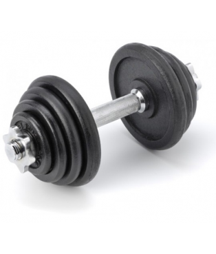 dumbbell_plate_hantelis_prove_8_kg-a8add4df2ed2862766bcfc5758b755b4.jpg