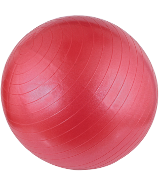 gimnastikos_kamuolys_avento_schreuderssport_42oa_pink_1749871626-3a638aab41fc4dae2787e9ede7937cbe.jpg