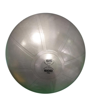 gimnastikos_kamuolys_toorx_professional_ahf-148_d65cm_antiburst_gray_1785587131-6924698998a6e2e3e5363febfb8e85b5.jpg