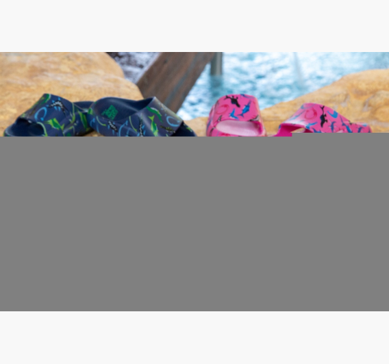 ocean_dinos_9275_1786958914-4f647d60ab9d6fc631a6d0a03bc288dd.jpg