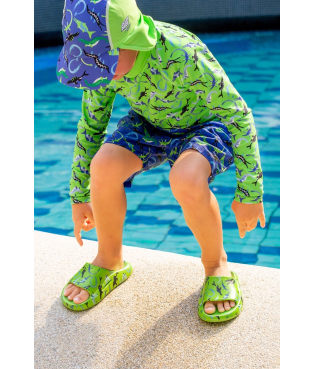 ocean_dinos_9275_8_1_1754677663-a5fc74093c80108c599c53467f990cfe.jpg