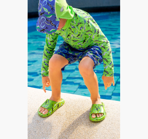 ocean_dinos_9275_8_1_1785597998-a98416835880017ac99667c887524372.jpg