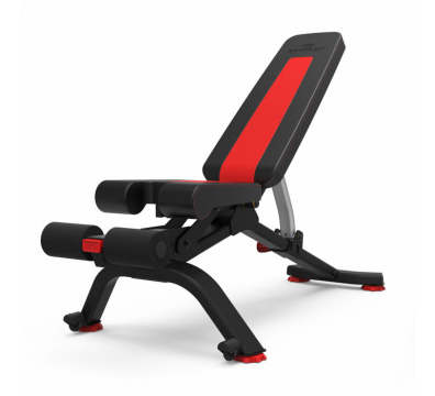 suoliukas_bowflex_5-1s_stowable_bench-98599b97f23d79f2180ecc65c64c8e5d.jpg