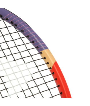 teniso_rakete_dunlop_tristorm_team-100-27-285g-05_1785608704-6fe6f2a8d6f2176348b1b9e546fa77e3.jpg